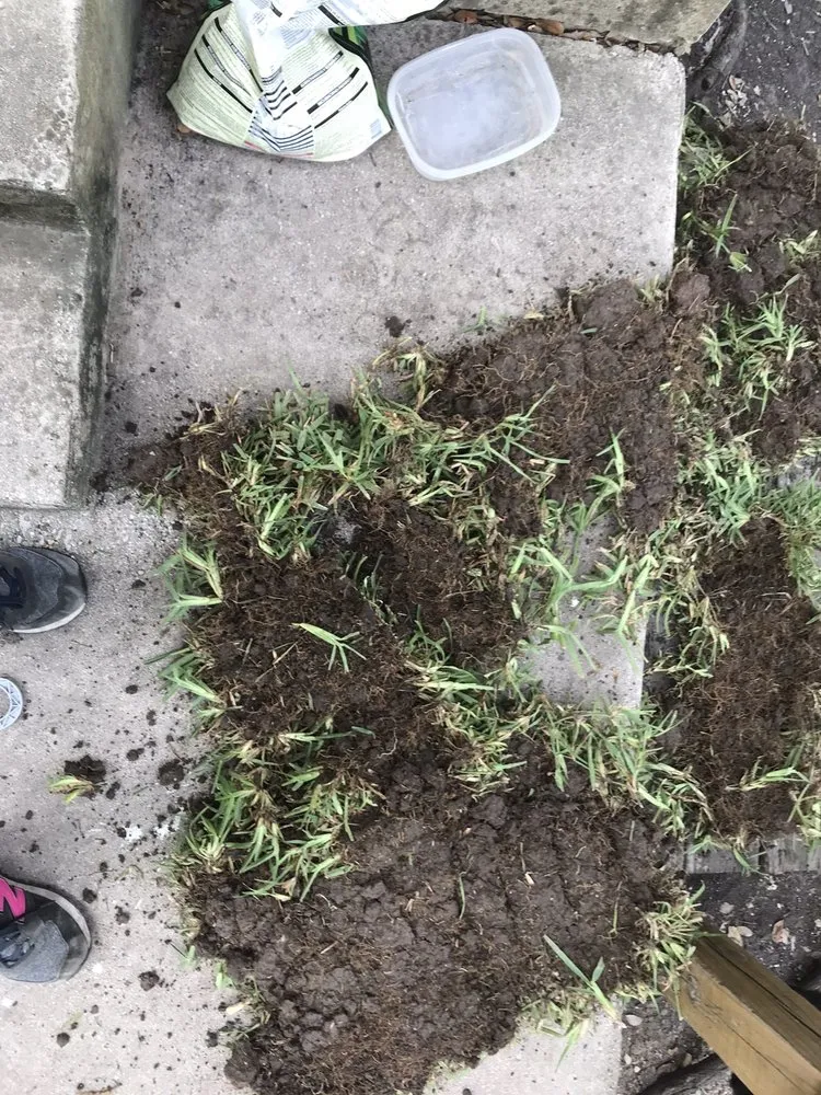 Expert lawn mowing service for year-round maintenance in San Antonio, TX by Dell’s Grass Farm