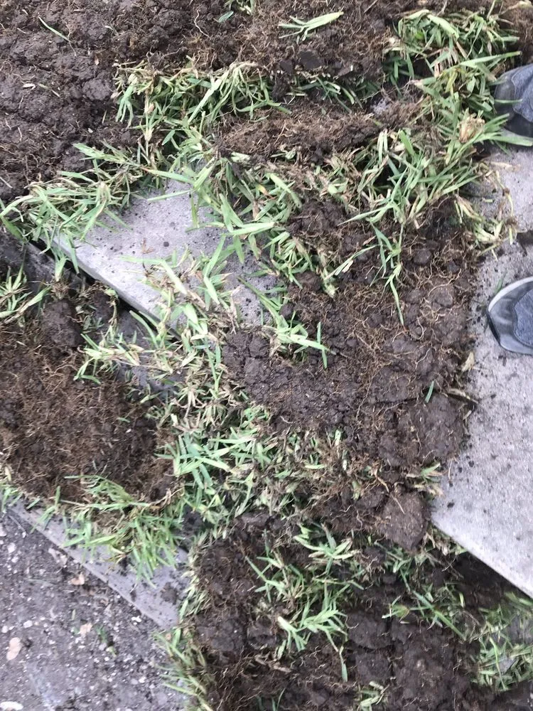 Reliable residential landscaping for homes across San Antonio, TX - Dell’s Grass Farm