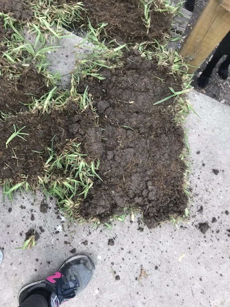 Professional yard maintenance for outdoor upgrades across San Antonio, TX - Dell’s Grass Farm