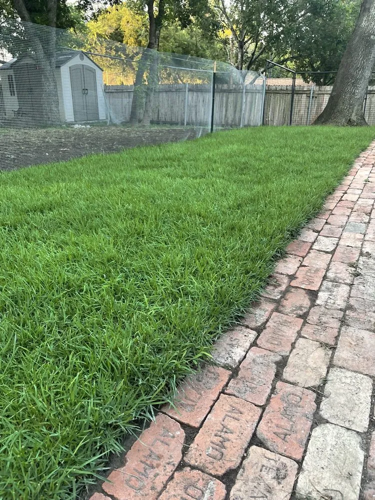 Local garden landscaping in San Antonio, TX by Dell’s Grass Farm