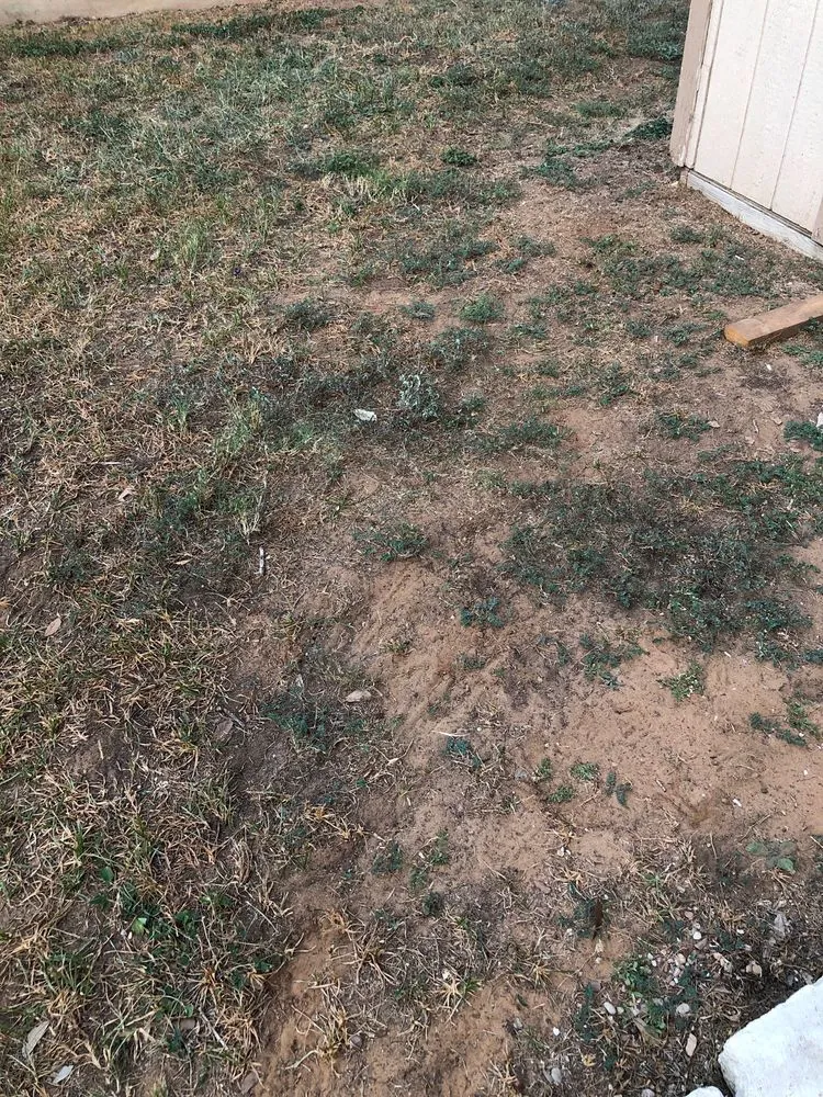 Top-rated lawn mowing service in San Antonio, TX by Dell’s Grass Farm