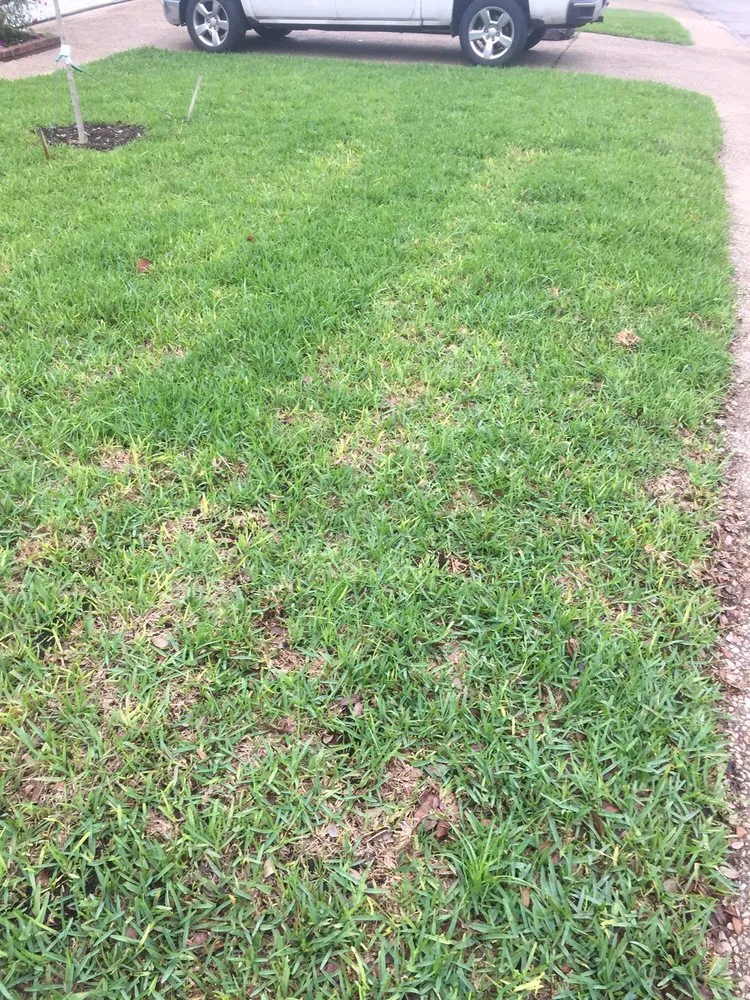 Trusted yard maintenance experts serving San Antonio, TX - Dell’s Grass Farm