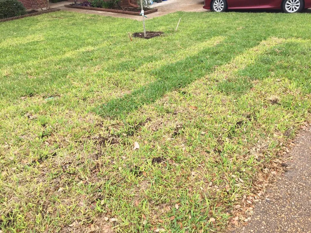 Affordable outdoor landscaping for homes in San Antonio, TX by Dell’s Grass Farm