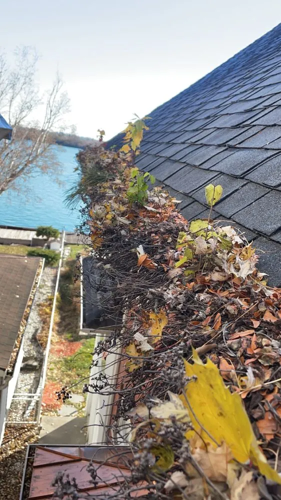 Trusted lawn care service in Taylor, MI - Dell’s Gutters & Lawn Care