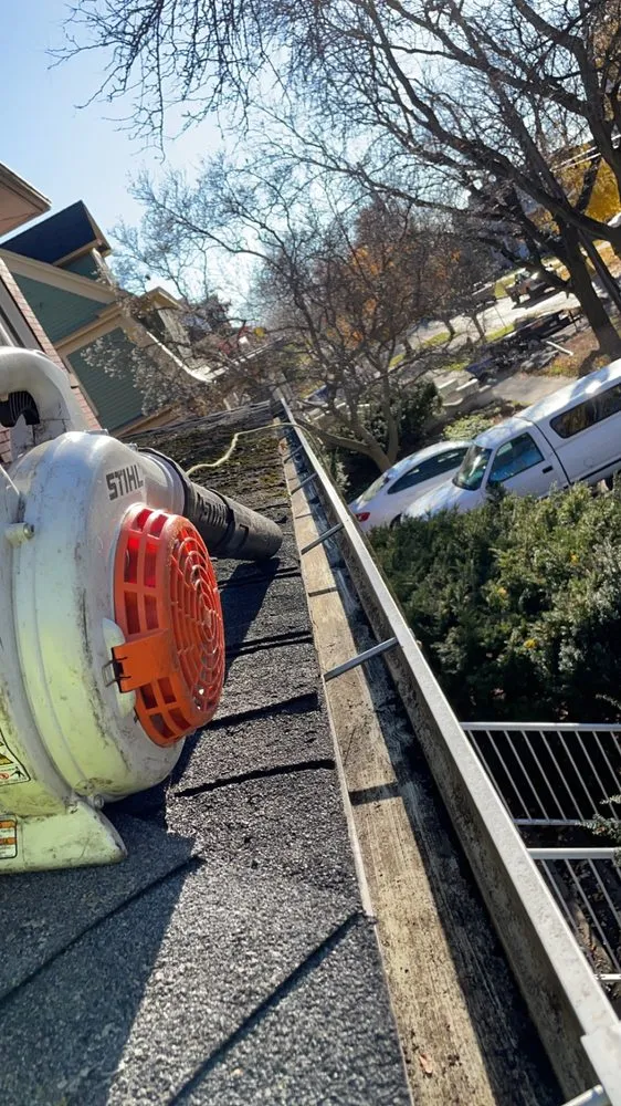 Affordable lawn mowing service with custom design across Taylor, MI - Dell’s Gutters & Lawn Care