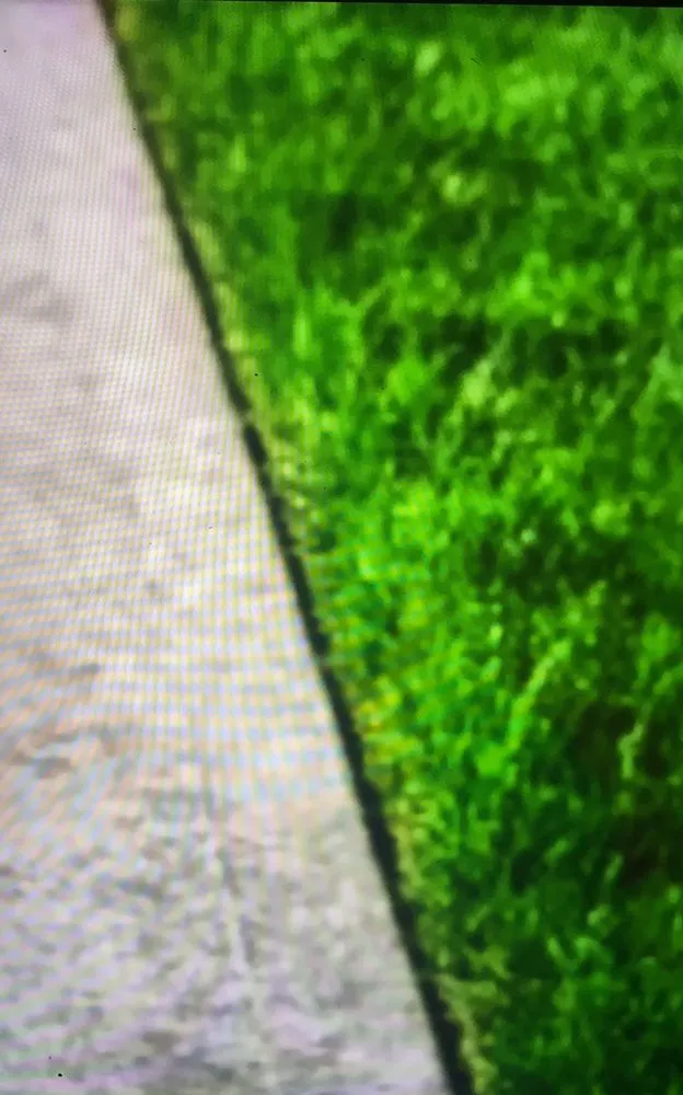 Affordable yard cleanup service in High Ridge, MO - Dells Property