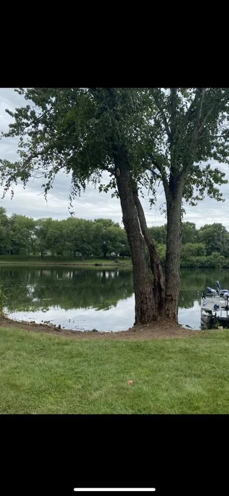 Expert lawn care service for year-round maintenance across High Ridge, MO - Dells Property