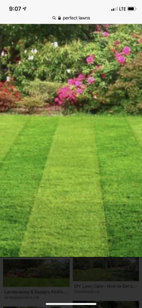 Local landscape design experts serving High Ridge, MO - Dells Property