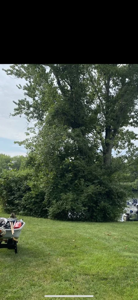 Professional landscape installation with custom design across High Ridge, MO - Dells Property