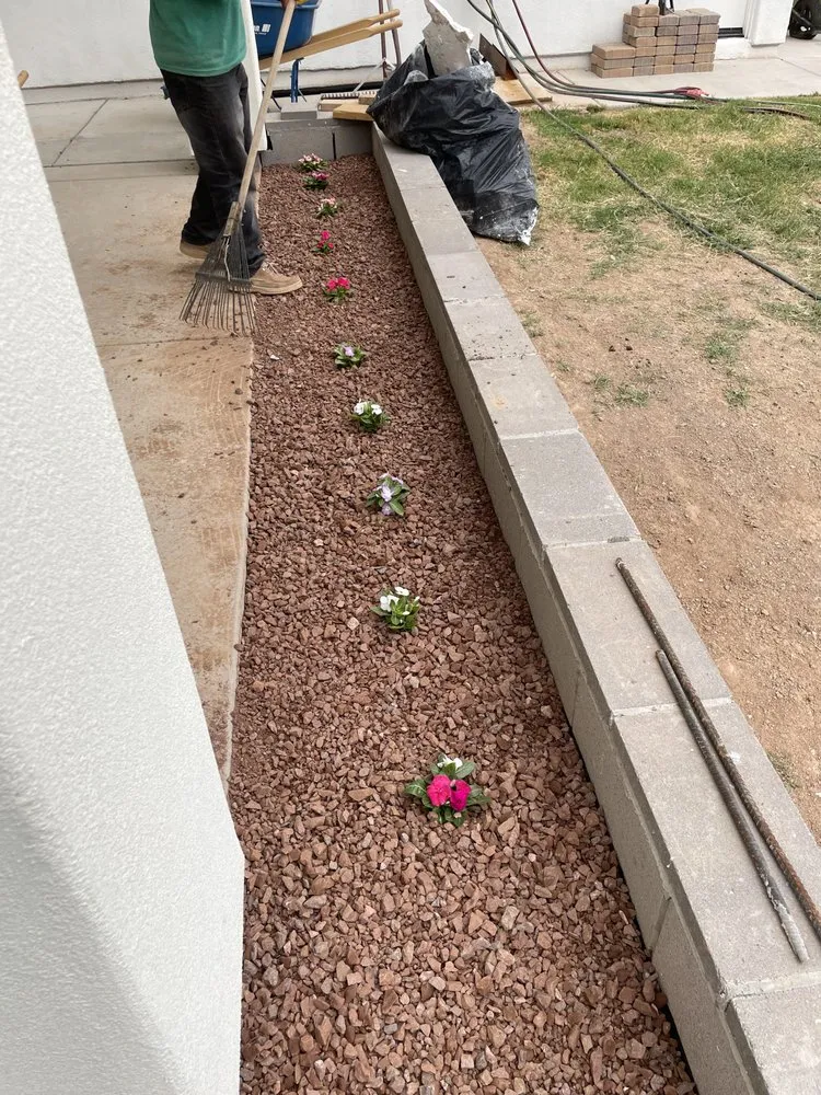 Affordable yard cleanup service in Mesa, AZ - Delmar Garcia Landscaping