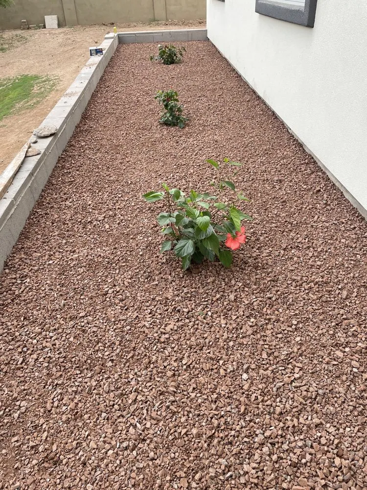 Reliable landscape installation experts serving Mesa, AZ - Delmar Garcia Landscaping
