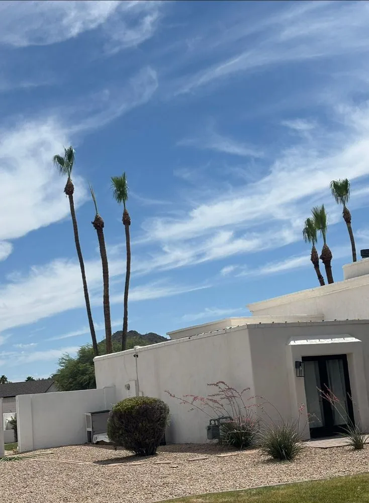 Local yard maintenance for beautiful yards across Mesa, AZ - Delmar Garcia Landscaping