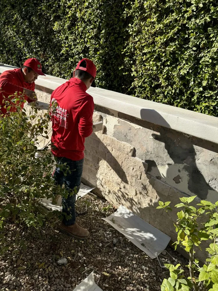 Affordable yard maintenance experts serving Phoenix, AZ - Delmar Landscaping