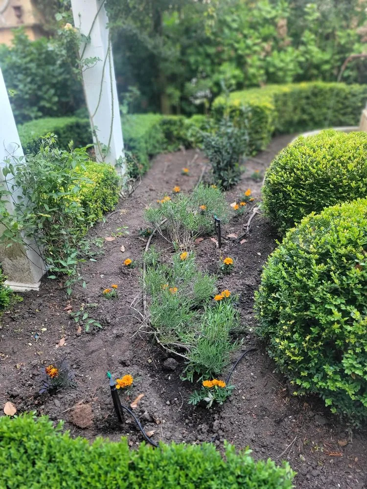 Expert yard cleanup service near you in Willards, MD by Delmarva Landscaping an Property Management