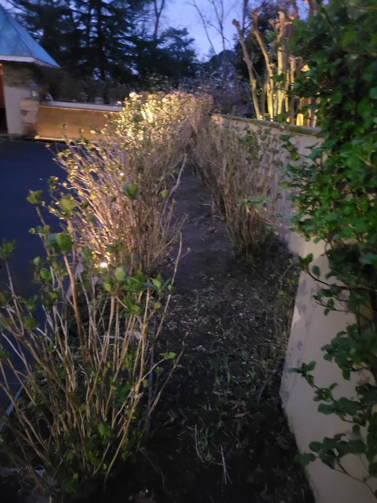 Affordable yard maintenance in Willards, MD - Delmarva Landscaping an Property Management