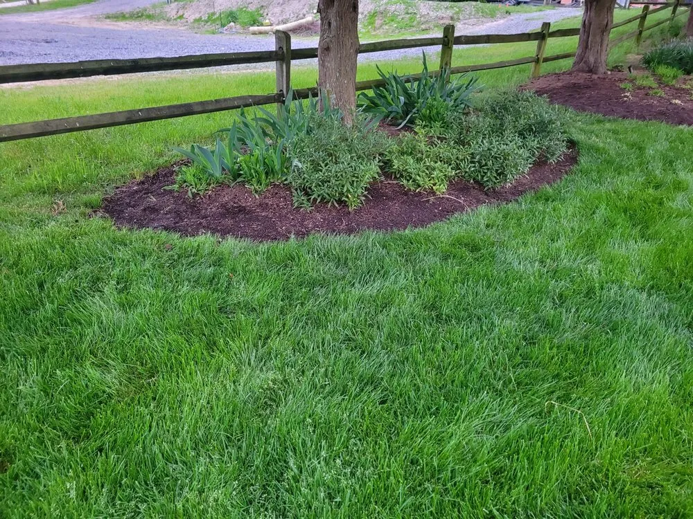 Local yard maintenance in Willards, MD by Delmarva Landscaping an Property Management