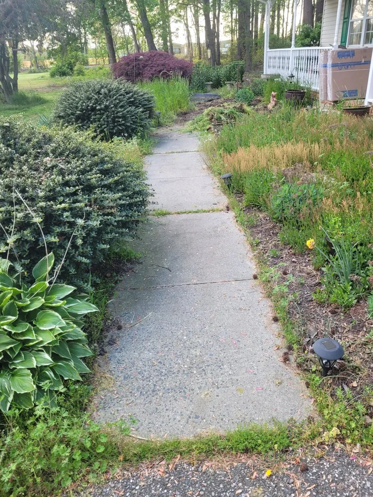 Affordable landscape design for residential properties across Willards, MD - Delmarva Landscaping an Property Management