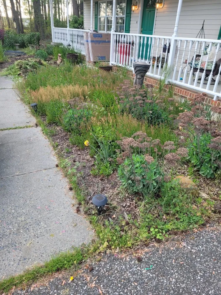Top-rated yard cleanup service experts serving Willards, MD - Delmarva Landscaping an Property Management