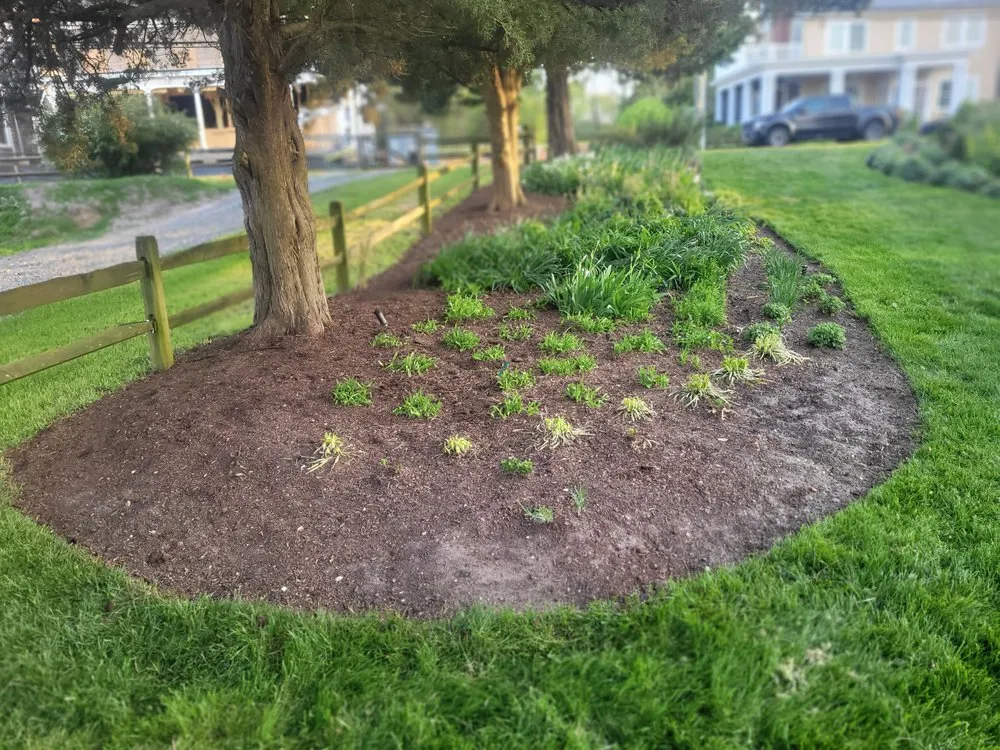 Reliable landscape design experts serving Willards, MD - Delmarva Landscaping an Property Management