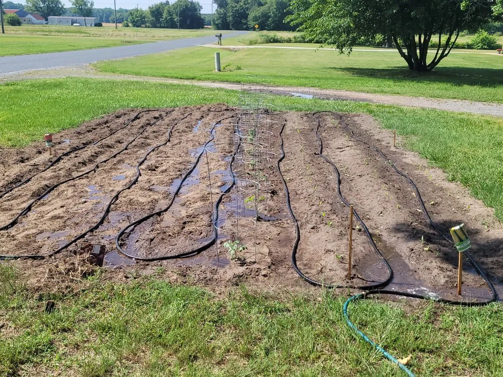 Expert yard cleanup service experts serving Willards, MD - Delmarva Landscaping an Property Management