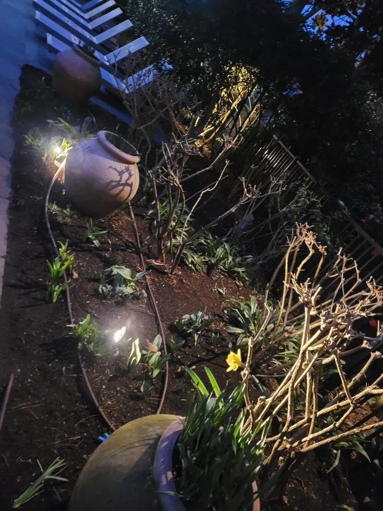 Affordable yard maintenance for year-round maintenance in Willards, MD by Delmarva Landscaping an Property Management