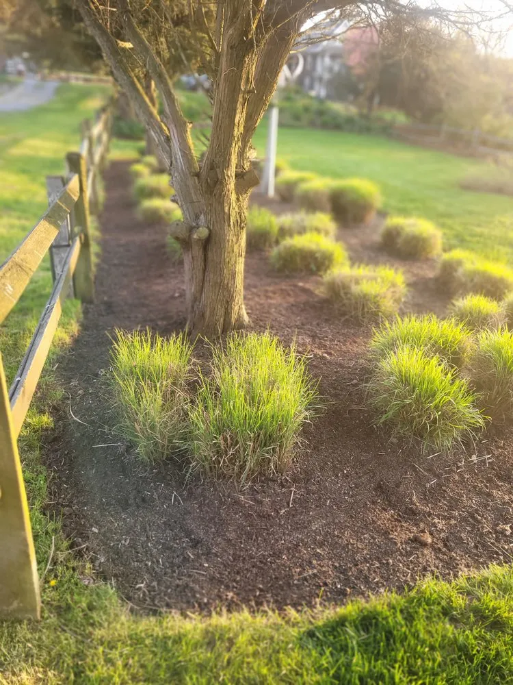 Local outdoor landscaping in Willards, MD by Delmarva Landscaping an Property Management