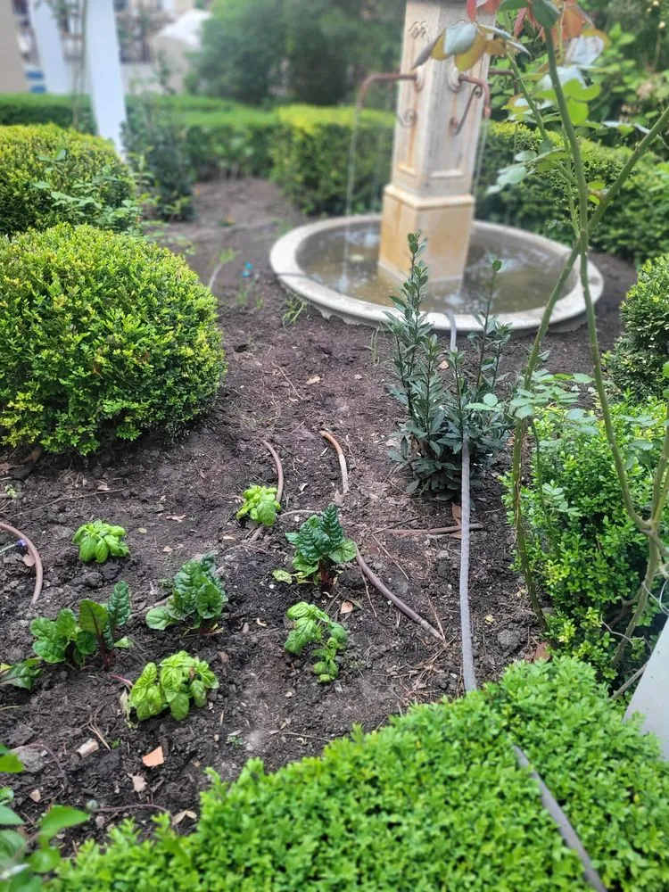 Top-rated yard maintenance for year-round maintenance in Willards, MD by Delmarva Landscaping an Property Management
