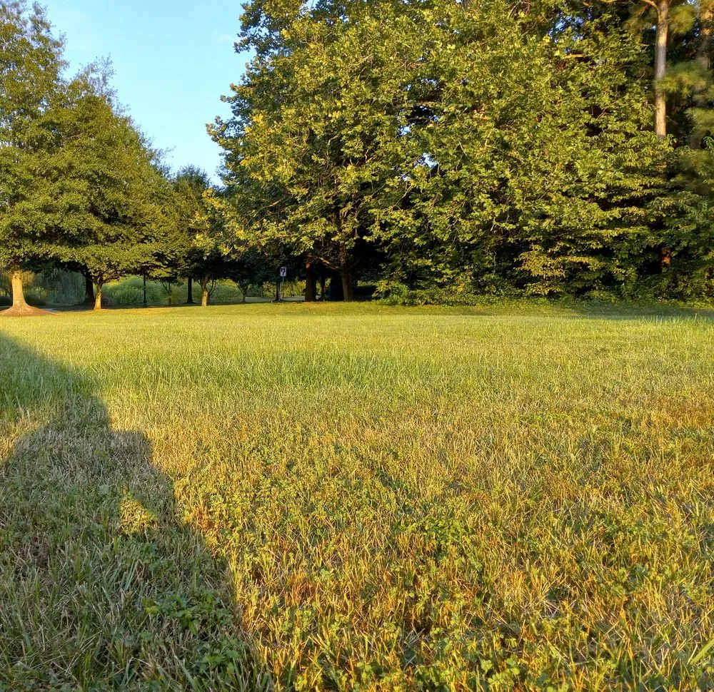 Affordable lawn mowing service near you in Hebron, MD by Delmarva Lawn Care
