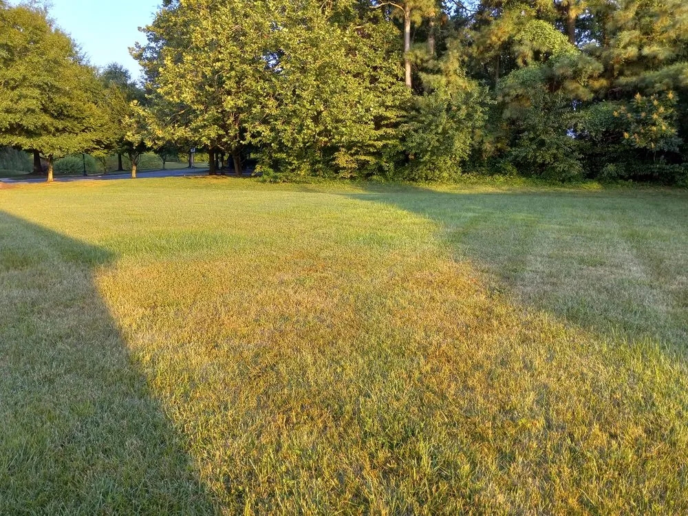 Custom landscaping services for year-round maintenance in Hebron, MD by Delmarva Lawn Care