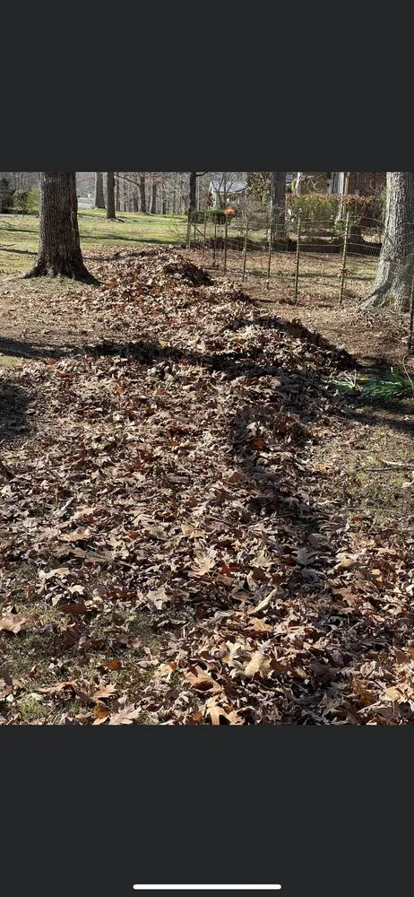 Local landscape installation in Dickson, TN - Deloach's Lawn Care