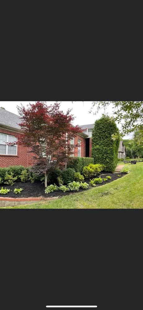 Custom yard cleanup service near you in Dickson, TN by Deloach's Lawn Care