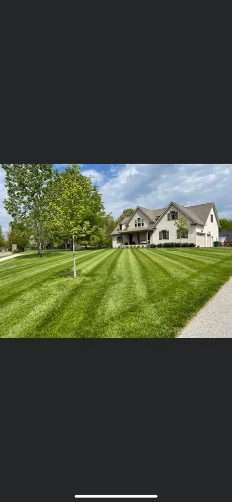 Professional yard cleanup service near you in Dickson, TN by Deloach's Lawn Care