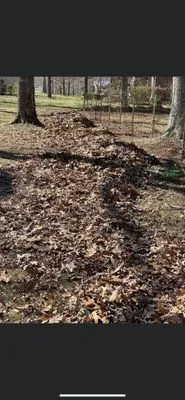 Deloach's Lawn Care Logo