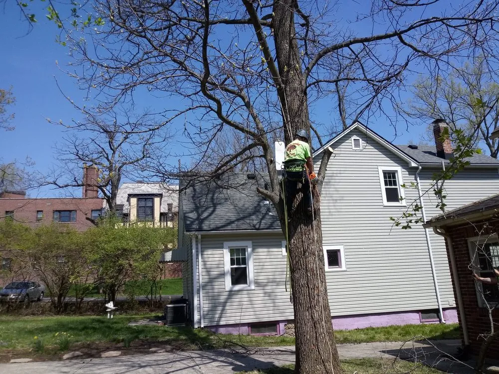 Trusted landscape design in Springfield, OH - Delong Forestry & Landscaping