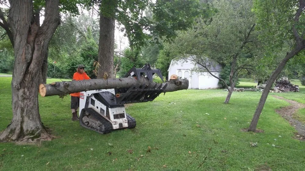 Affordable outdoor landscaping experts serving Springfield, OH - Delong Forestry & Landscaping