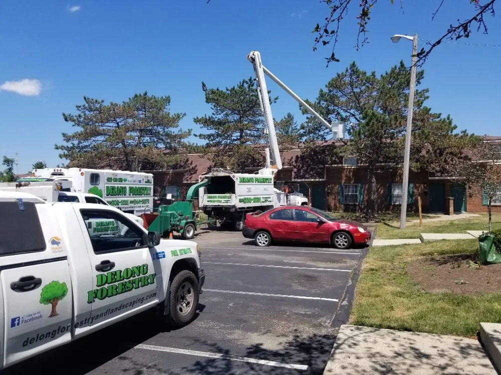 Top-rated lawn mowing service for residential properties in Springfield, OH by Delong Forestry & Landscaping