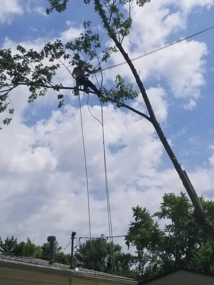Affordable landscape installation for homes in Springfield, OH by Delong Forestry & Landscaping