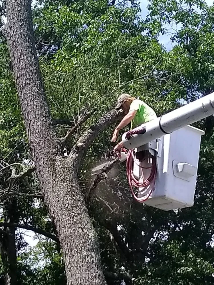 Custom garden landscaping experts serving Springfield, OH - Delong Forestry & Landscaping