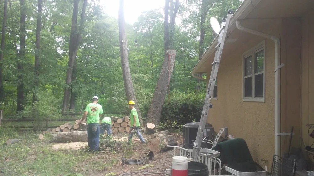 Professional landscape design in Springfield, OH - Delong Forestry & Landscaping