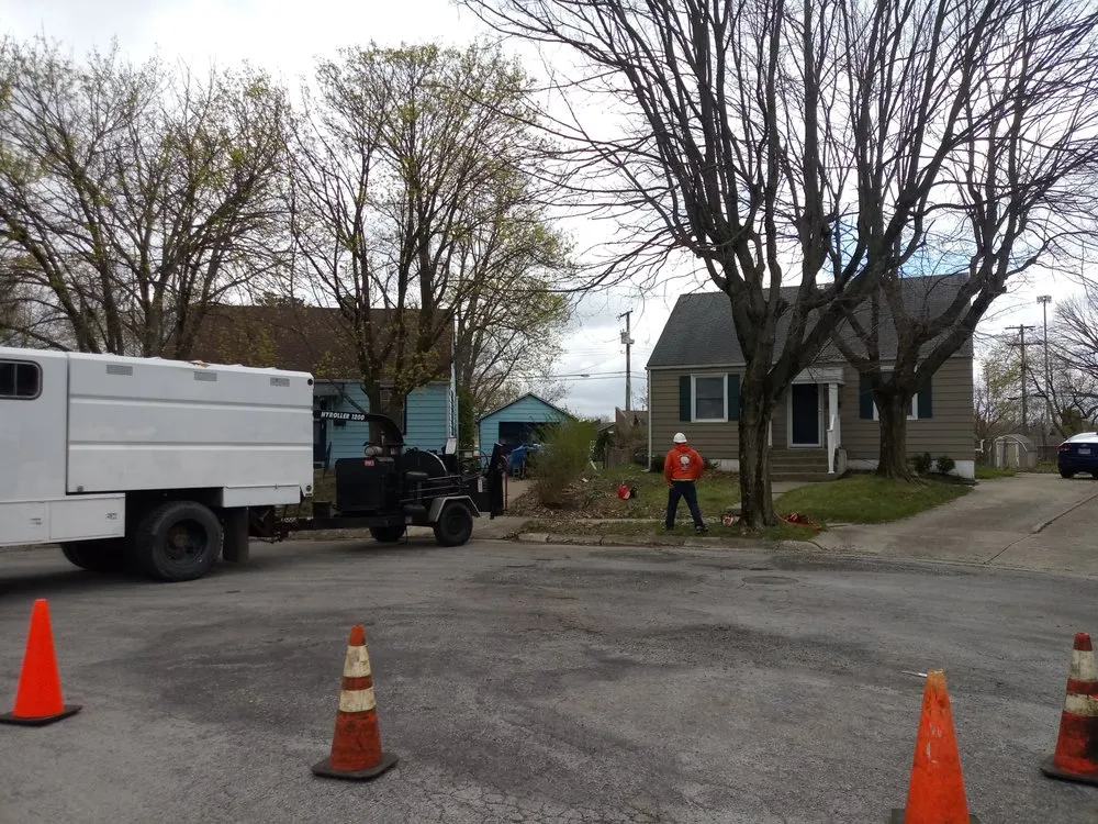 Trusted lawn mowing service near you in Springfield, OH by Delong Forestry & Landscaping