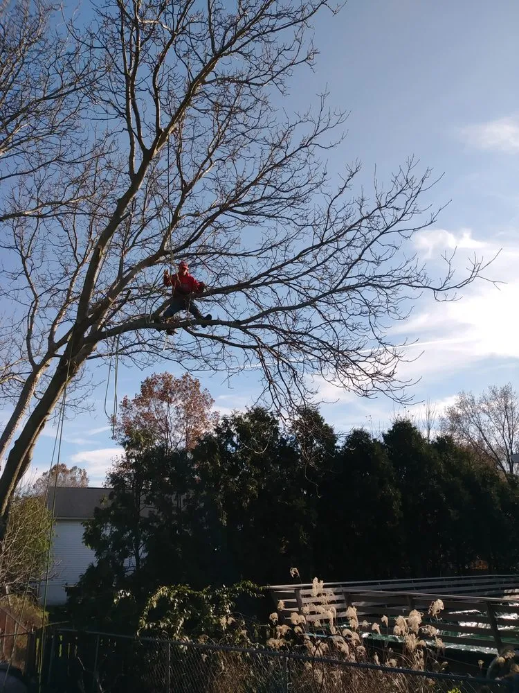 Reliable landscape installation for residential properties across Springfield, OH - Delong Forestry & Landscaping