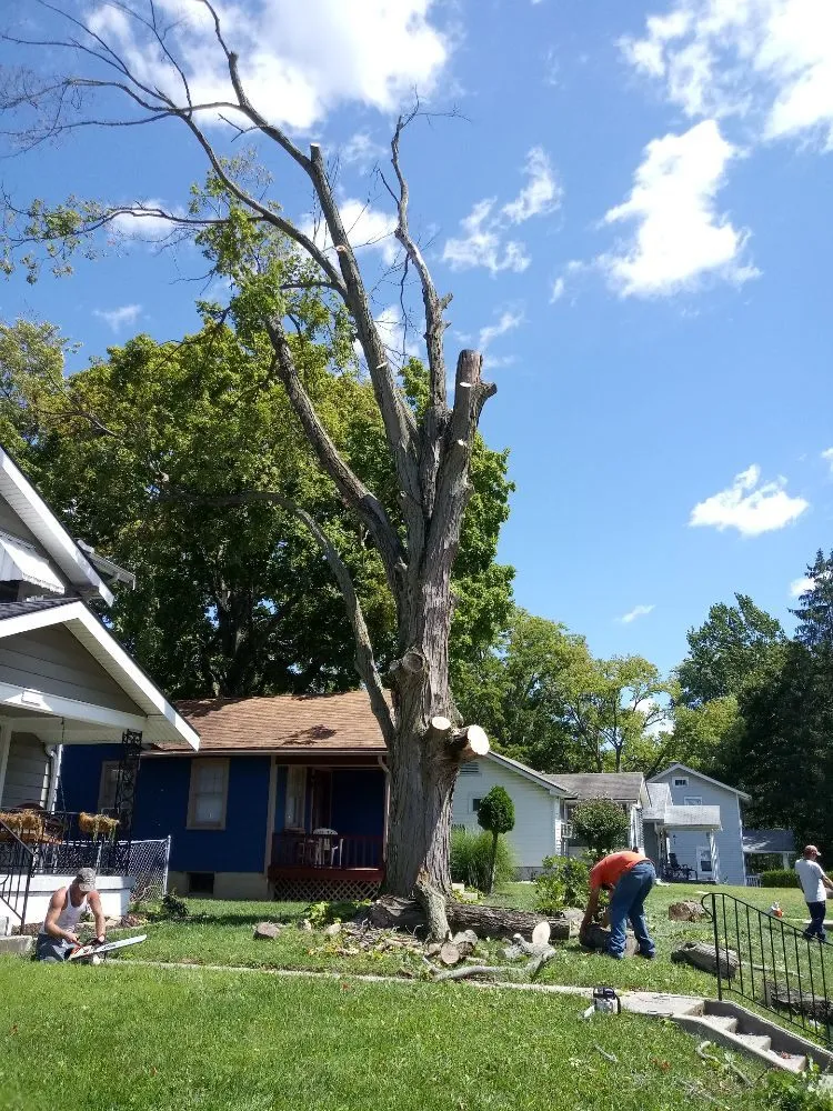 Professional residential landscaping experts serving Springfield, OH - Delong Forestry & Landscaping