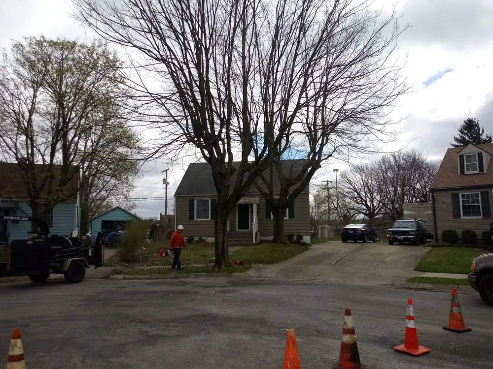 Custom landscaping services in Springfield, OH - Delong Forestry & Landscaping