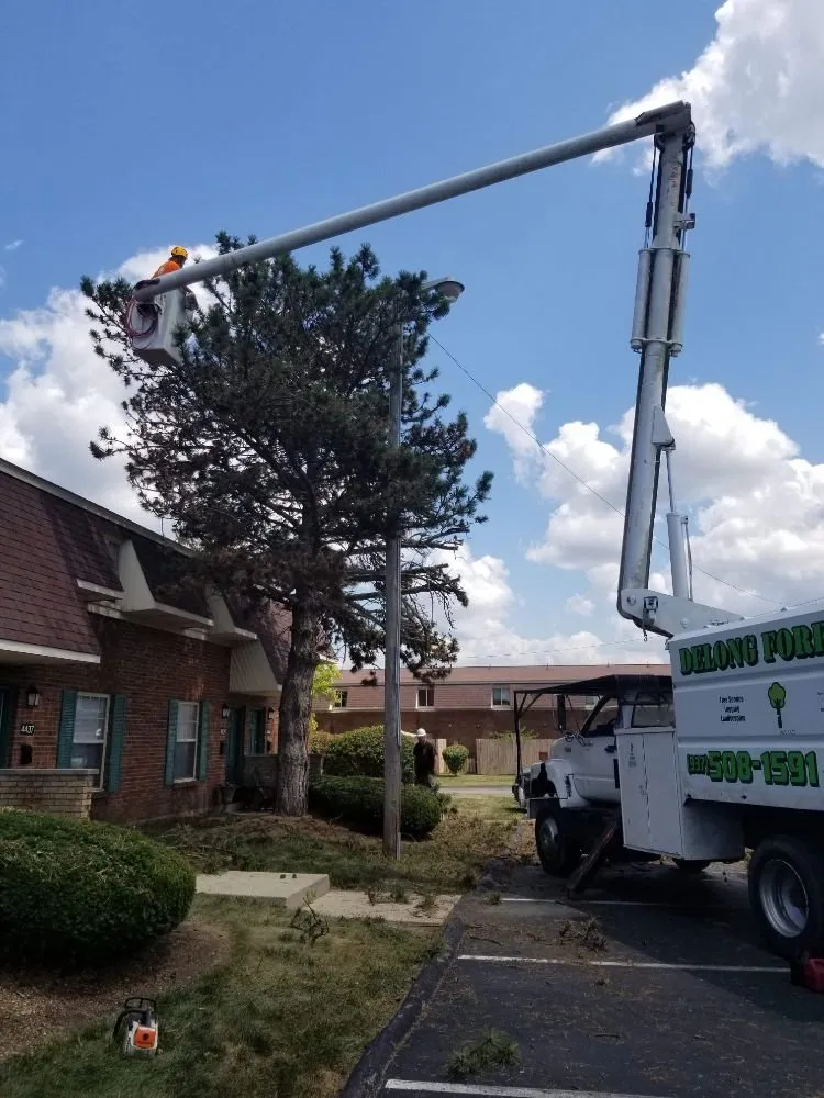 Custom landscaping services in Springfield, OH by Delong Forestry & Landscaping