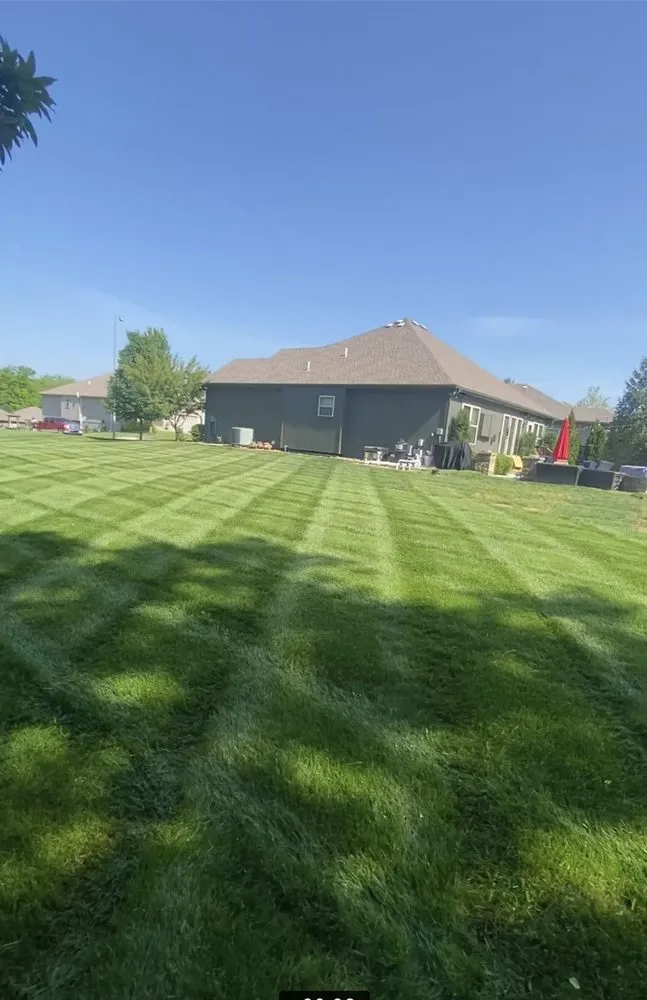 Top-rated lawn care service for residential properties in Agency, MO by Delong Grass Cutting Service