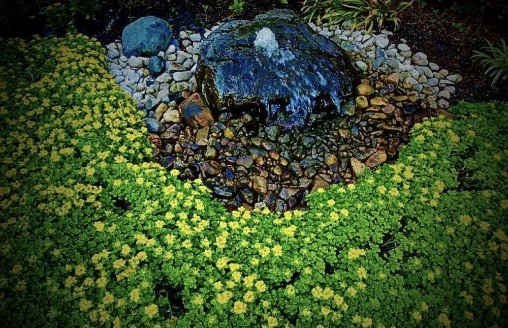 Affordable lawn care service in Birmingham, MI - Delong Landscaping