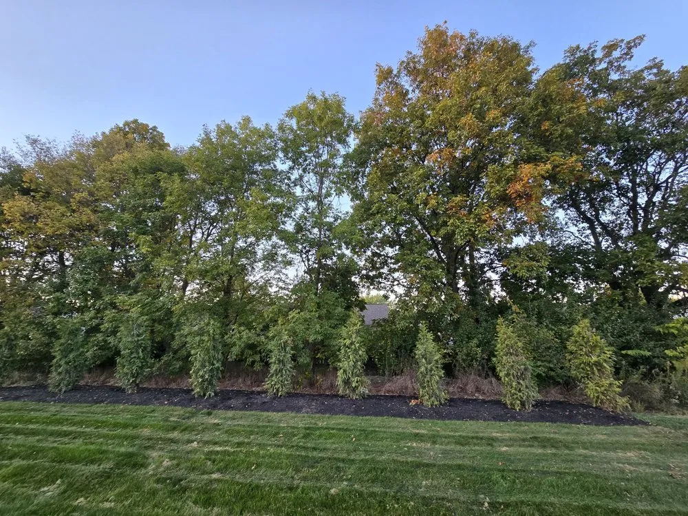 Professional garden landscaping in Noblesville, IN by Delong Landscaping