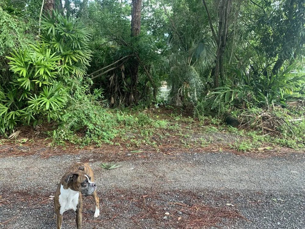 Trusted residential landscaping in Stuart, FL - DeLongs Arbor Care