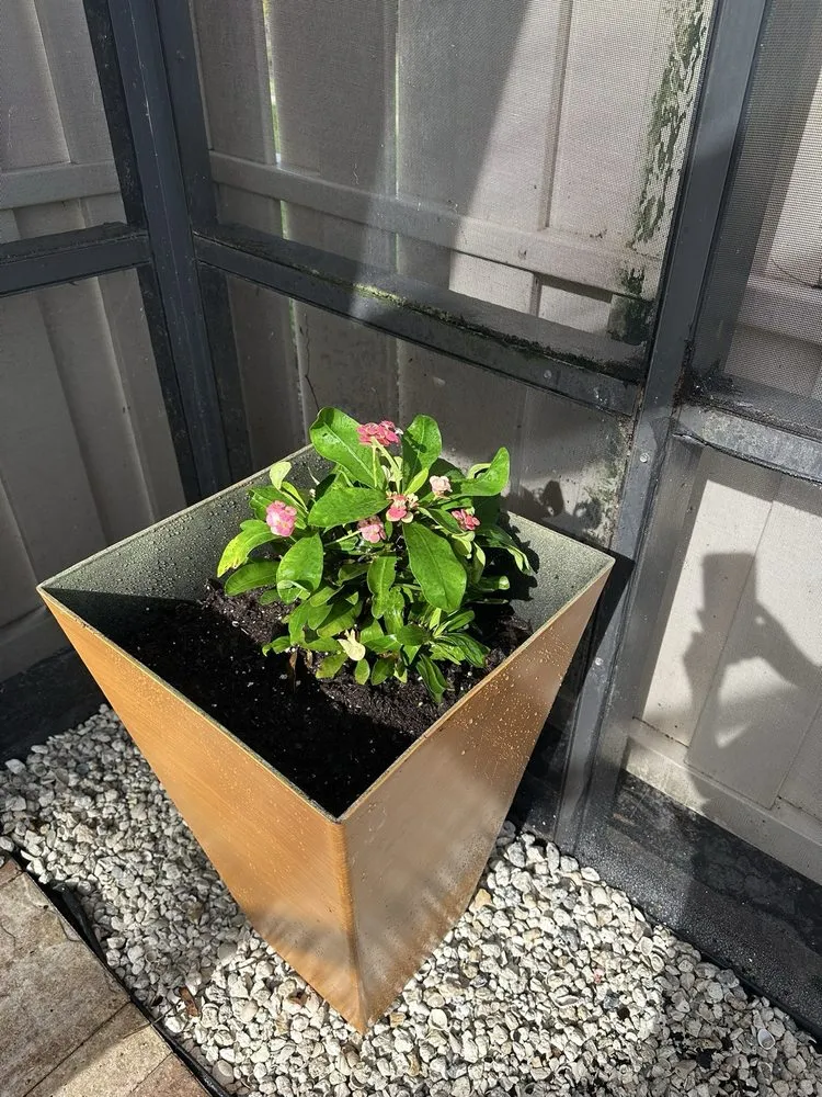 Expert yard cleanup service for homes in Stuart, FL by DeLongs Arbor Care