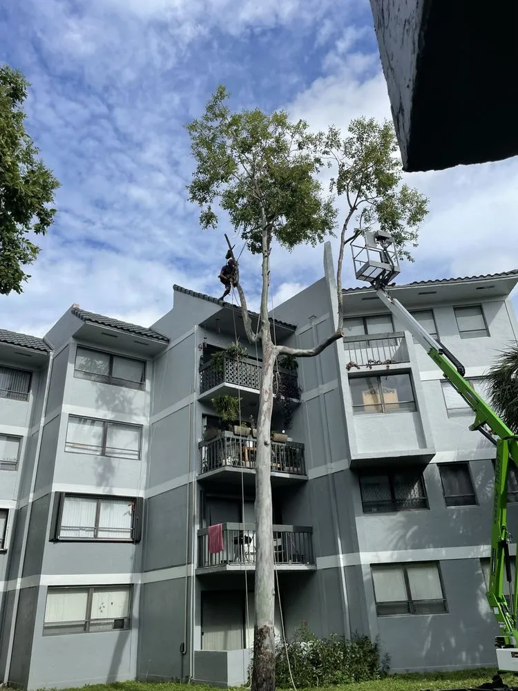 Reliable lawn mowing service in Stuart, FL by DeLongs Arbor Care